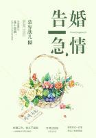 赖上律师老公 微安