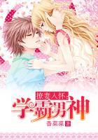 学霸男神撩妻入怀百度