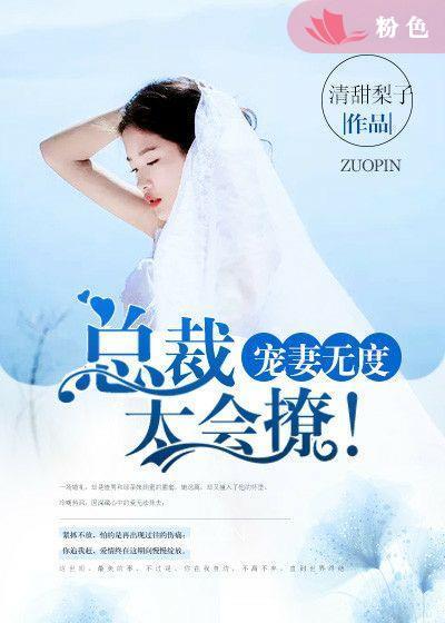 总裁宠妻太无度全文免费