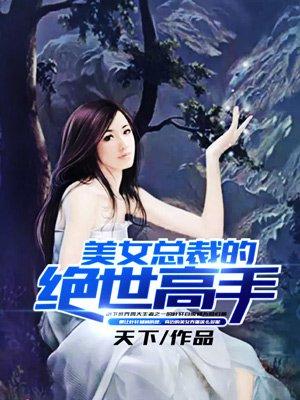 美女总裁的绝世高手改编