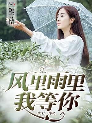 风里雨里等你歌词