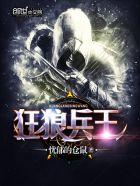 狂狼兵王秦洛200级演练的最新进展及评价