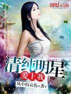 大明星爱上我