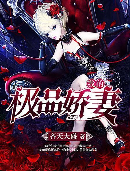 我的极品老婆电视剧剧情介绍