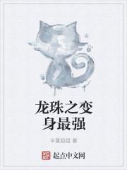 龙珠之变身贝比