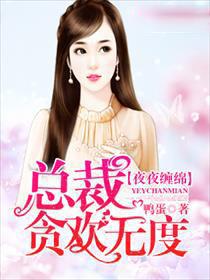 夜夜缠绵恶魔总裁轻