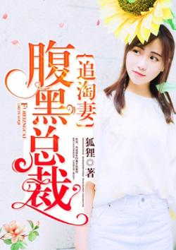 腹黑总裁追淘妻全文免费阅读