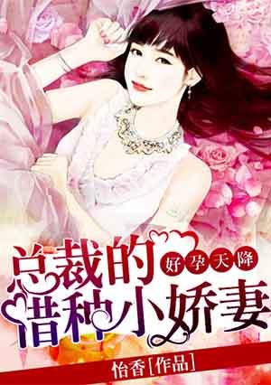总裁借个娃txt