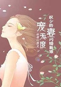 权少宠妻无休止