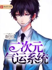 二次元系统大全