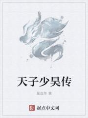 少年天子书籍