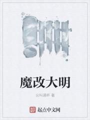 大明变身莫卧儿