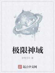 极限神域sana设定