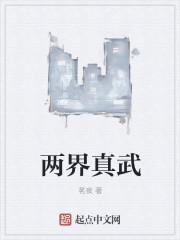 真武境界
