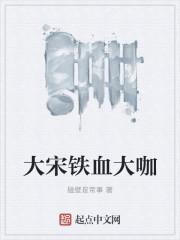 大宋铁血大咖是谁