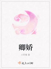 凤闺记 小阿毒