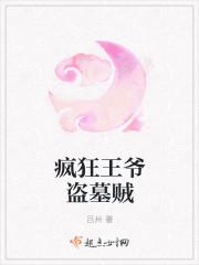疯狂盗墓系统