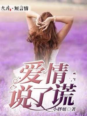 爱情说了谎DJ慢四