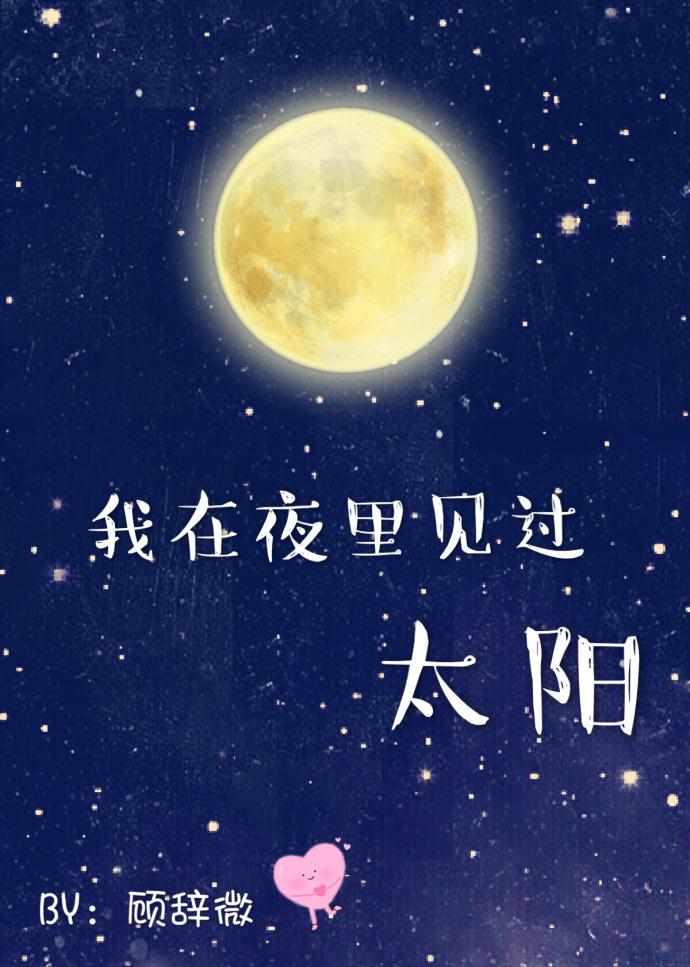 我在夜里见过太阳完整版