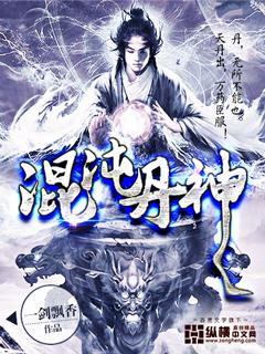 混沌丹神等级