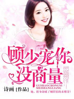 顾少宠不停免费无弹窗