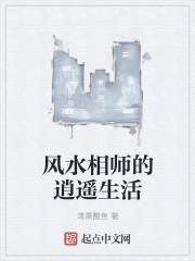 关于风水相师的完结