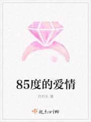 85度的意思