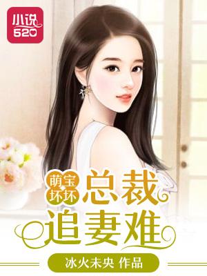总裁追妻萌宝闹翻天