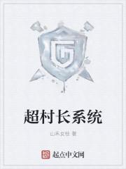 超级村长系统