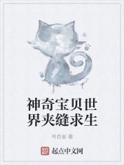 神奇宝贝之夹缝生存免费阅读