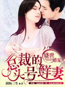 盛世婚宠总裁的头号佳妻免费全本