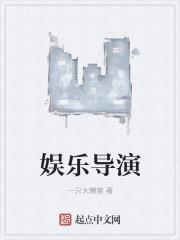 娱乐导演h文