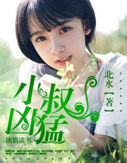 小叔凶猛安圆圆苏南俊最新章节