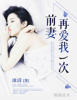 前妻再爱我一次大结局