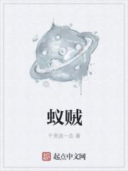 蚁贼什么意思