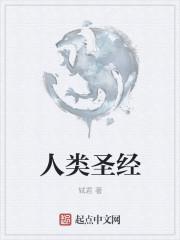 口袋妖怪漆黑的魅影