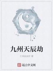 九州天辰物流有限公司