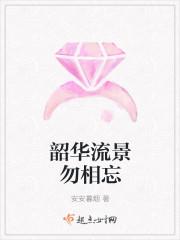 韶华流年的意思
