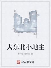大东北小地主王国