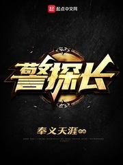 警探长简介内容