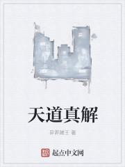 天道真相