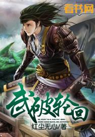 武之天晶轮回