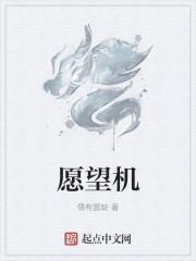 愿望机里面什么枪最好用