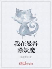 我在泰国卖