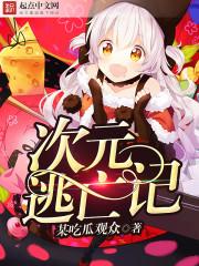 次元远征百度百科