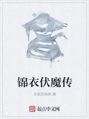 锦衣传奇免费阅读