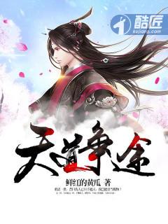 天道争锋游戏