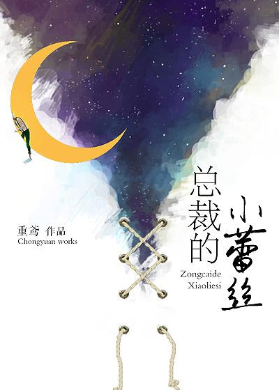 总裁的床伴