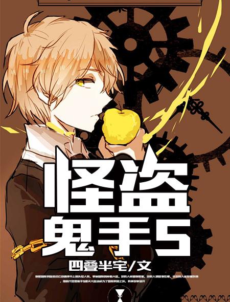 怪盗sj