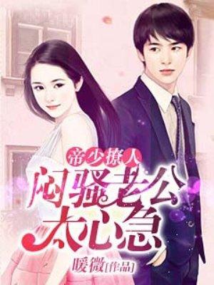闷骚老公宠上瘾免费全文